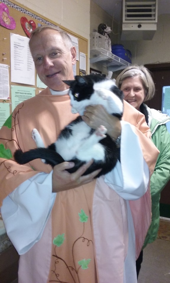 Blessing of the Animals  2016